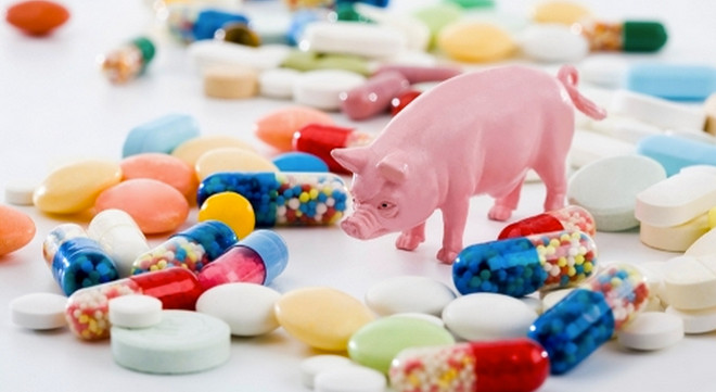 Антибиотики в животноводстве: борьба с микроорганизмами или с людьми?