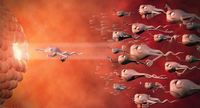 Во время эякуляции сперма человека движется со скоростью 70 км/час