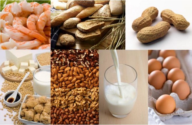 Наиболее распространенные пищевые аллергены:  молоко, злаки и орехи