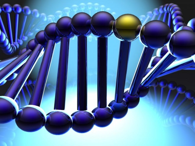 Существует генетическая предрасположенность к онкологическим заболевания