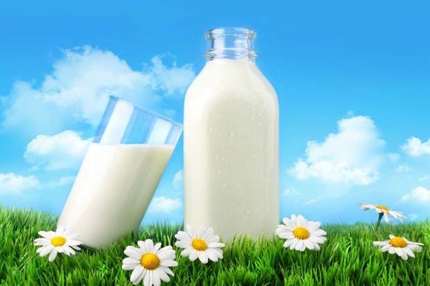Что собой представляет аллергия на молоко?