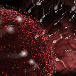 Ученые изучили, когда лучше зачать ребенка