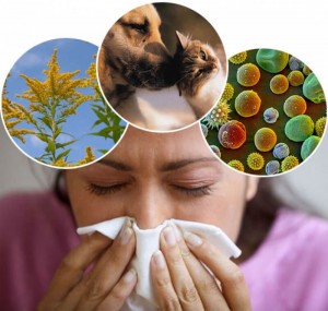 allergiya-prochiny