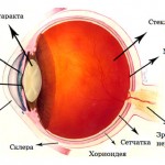 Причины возникновения катаракты