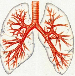 Атма - препарат для лечения органов дыхания